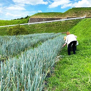 住み続けられるまちづくりを